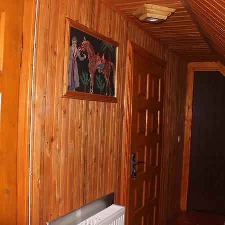 Vyshy*vanka Pensión Skole